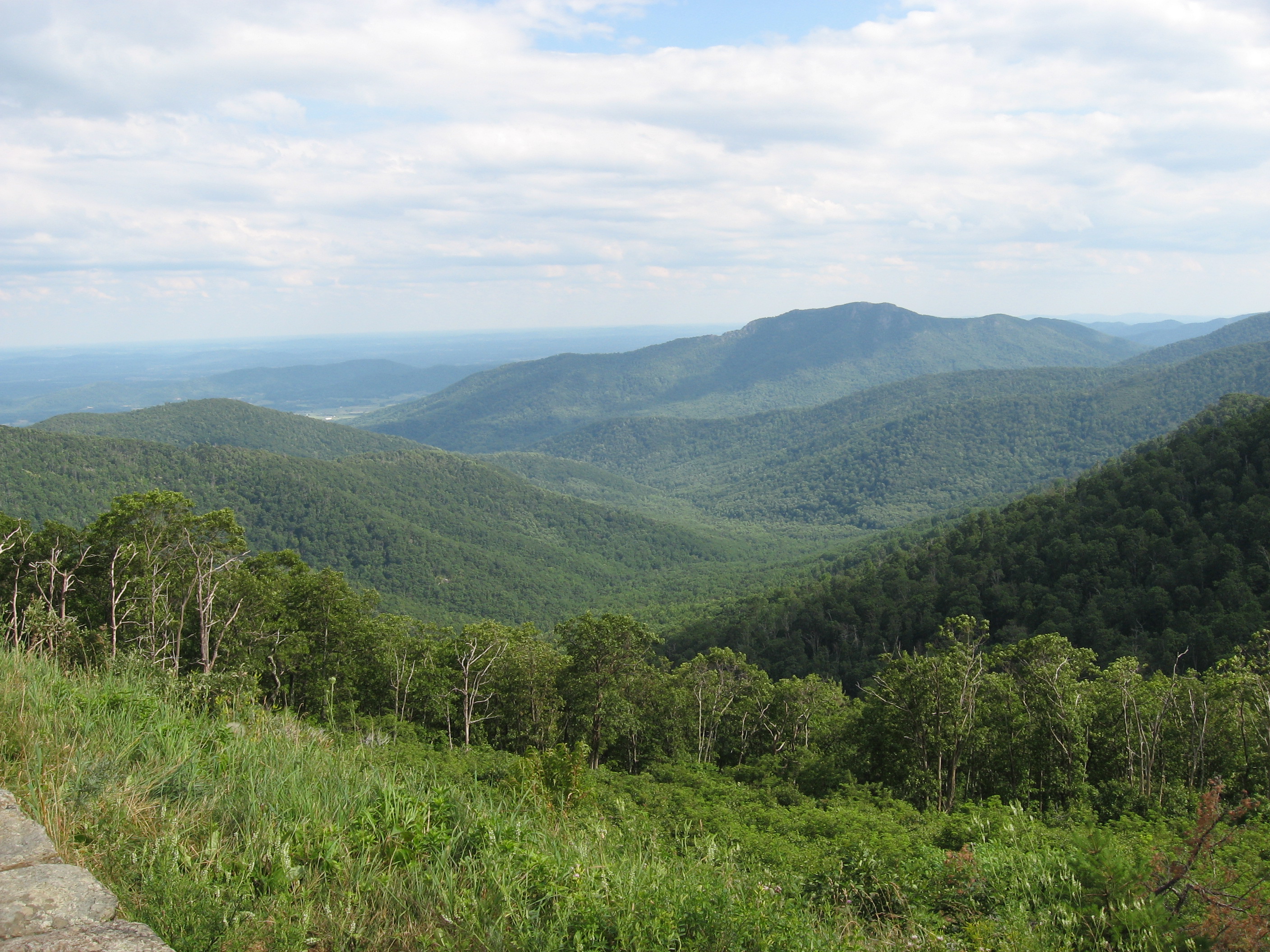 Old Rag Mountain rising above the forested valleys of Madison County, seen from Shenandoah National Park