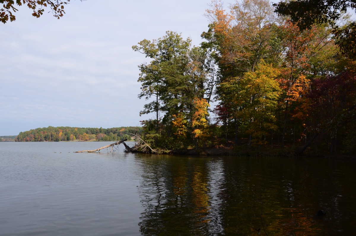 Fall color on Lake Anna, the lake along Louisa County’s northern edge